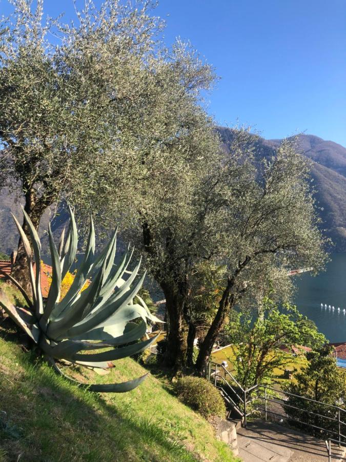 Lake Feelings Lugano Zewnętrze zdjęcie